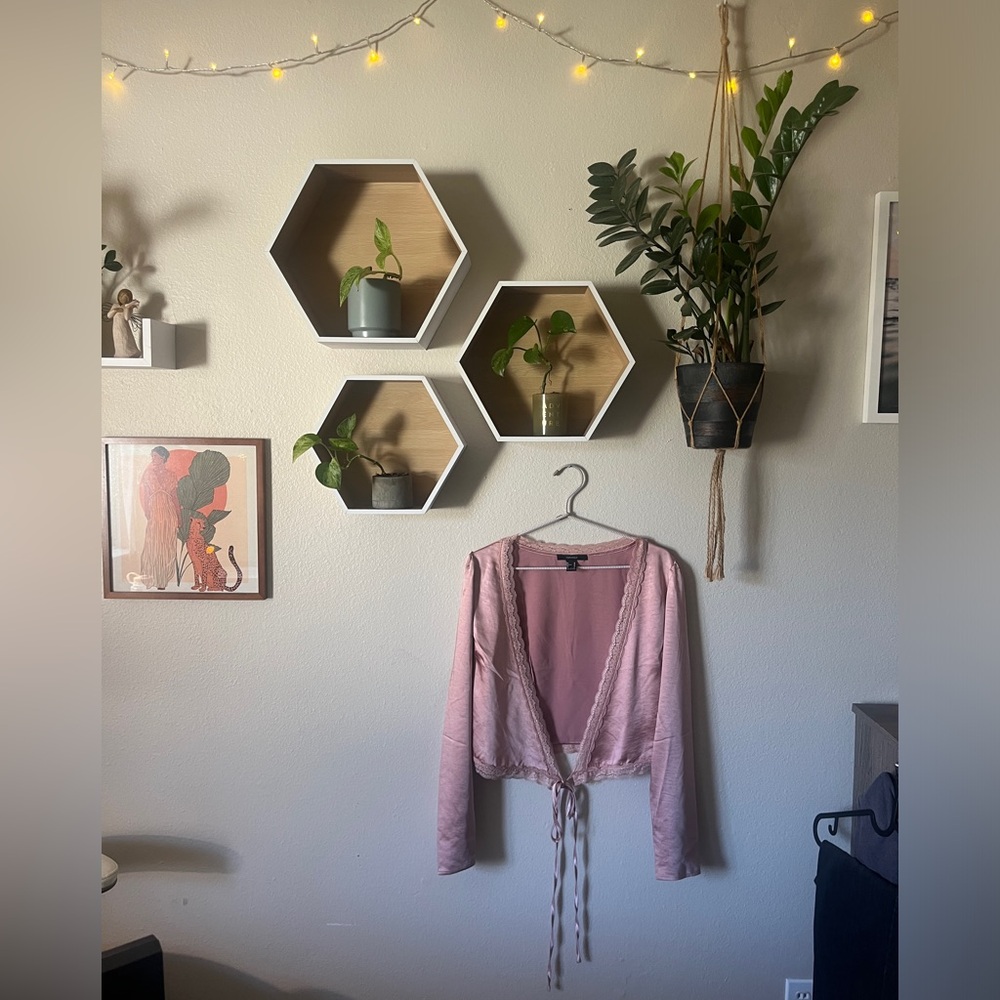Pink Satin Longsleeve
